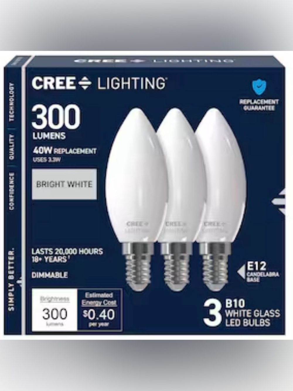 Bright White B10 LED Bulbs (3-Pack)